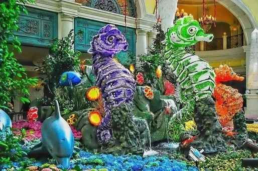 贝拉吉欧的植物园